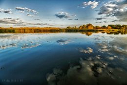 Tisza-tó