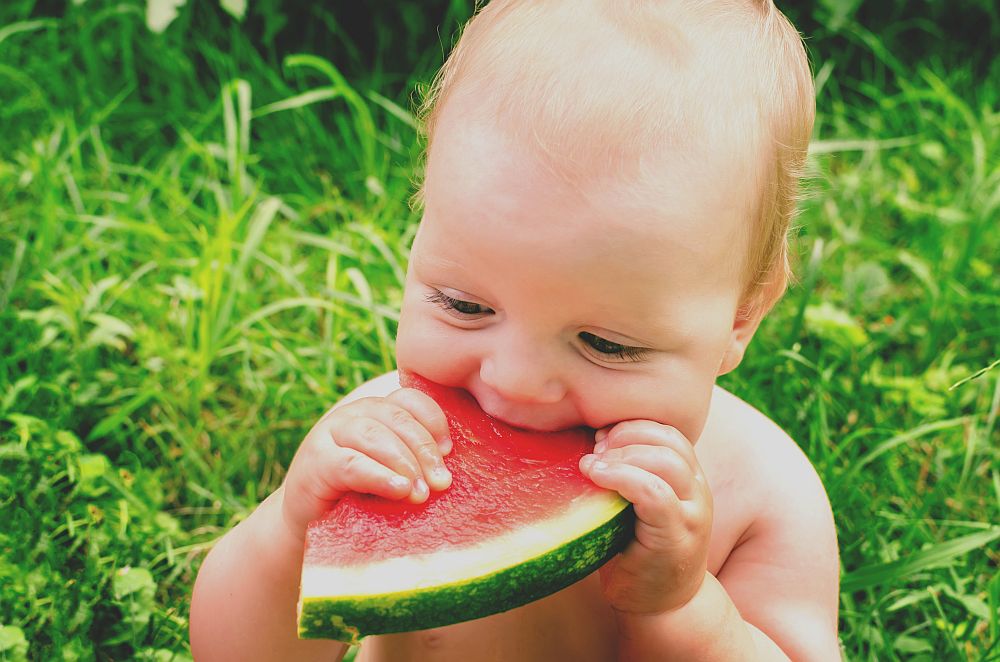 Little,boy,eating,watermelon,red,in,the,garden,sitting,on
