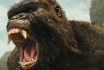 2017 Kong: Skull Island Movie Set