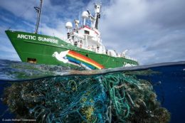 Greenpeace, hajó, környezetvédelem
