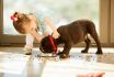 Beautiful,little,girl,watching,her,puppy,eat,in,the,living