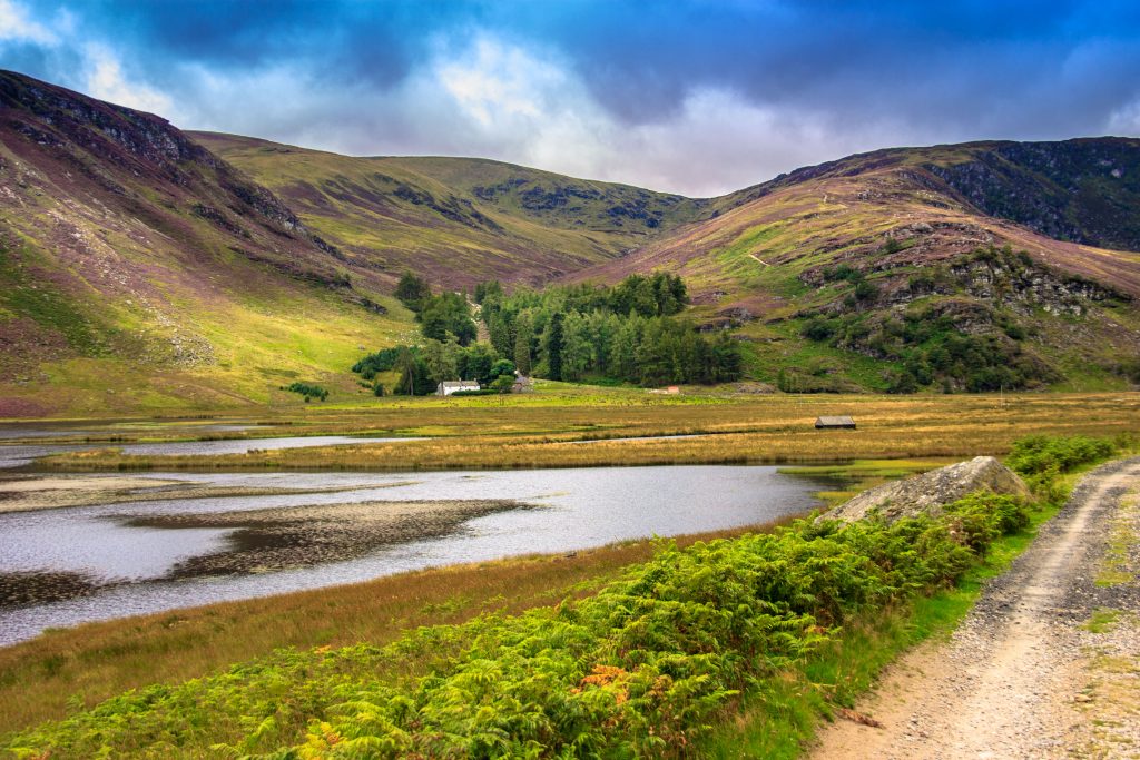 Hiking,trail,in,cairngorms,national,park,,south,of,the,grampian