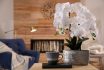 Beautiful,white,orchids,and,cup,of,tea,on,wooden,table