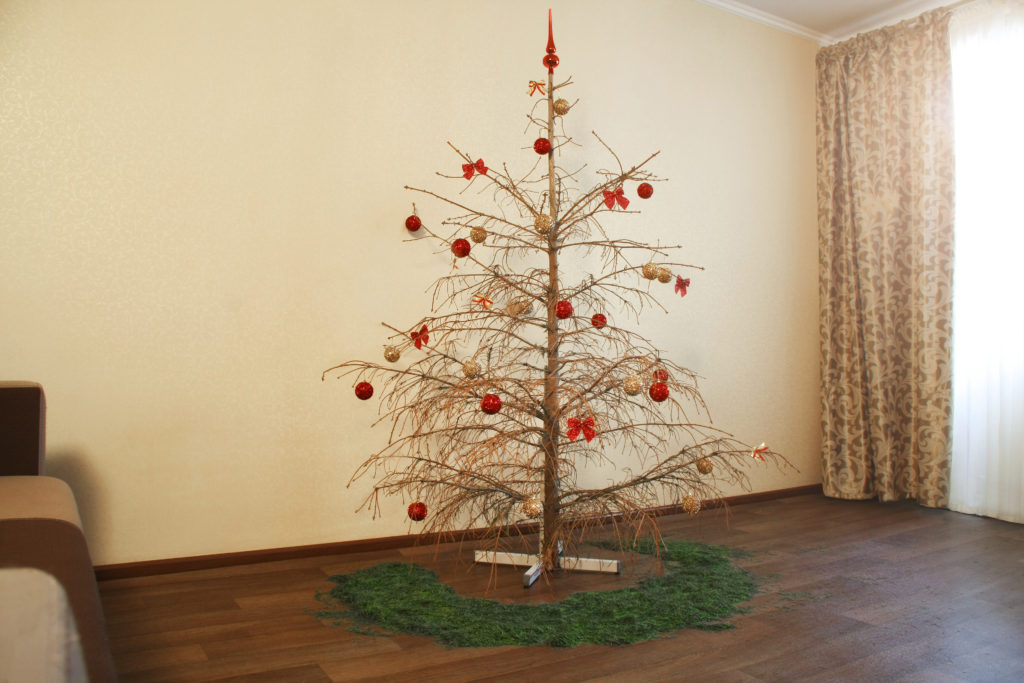 Kiszáradt karácsonyfa