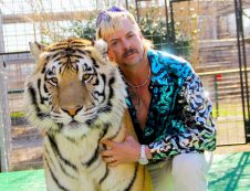 Tiger King, egzotikus, állatok, Joe Exotic