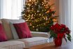 Christmas,interior,with,traditional,red,poinsettia,flower,on,table,and