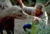 2001 Jurassic Park 3 Movie Set