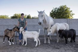 interjú Tászler Melinda lovas- és kecsketrénerrel