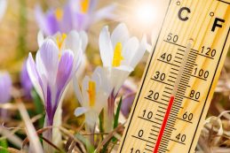 Megdőlhet az eddigi februári melegrekord