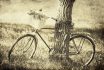 Vintage,bicycle,waiting,near,tree.,photo,in,old,image,color