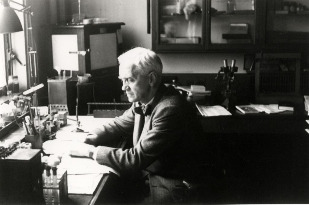 Alexander Fleming, penicillin