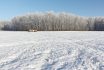 Agricultural,field,in,winter,,novosibirsk,,russia