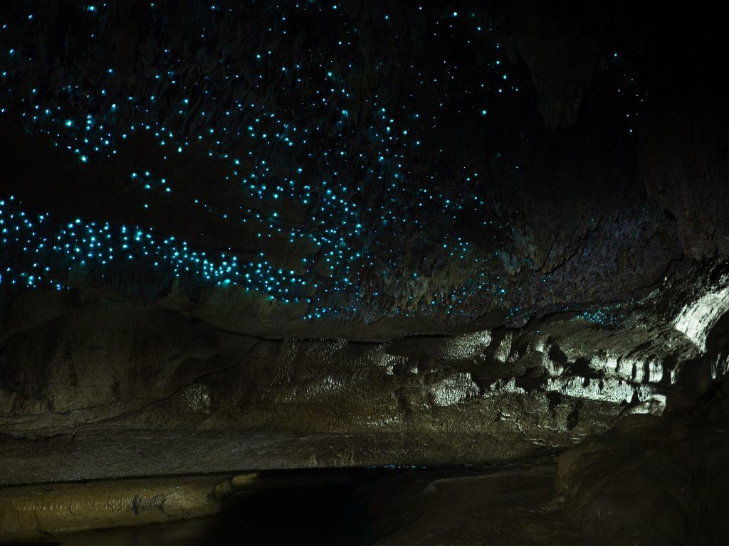 Waitomo barlang, Új-Zéland