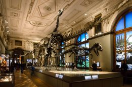 Vienna,,austria, ,may,20,,2017:,the,famous,naturhistorisches,museum