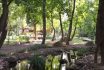 A szentendrei japánkert egészen különleges élményt nyújt