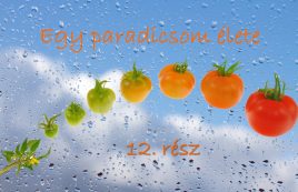 Egy paradicsom élete 12