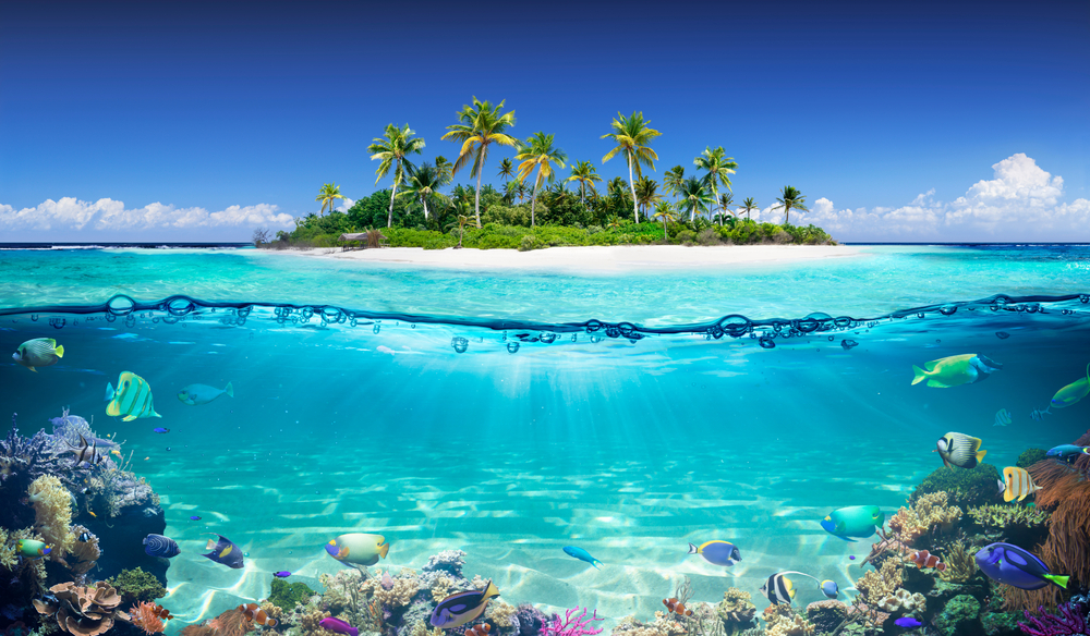 Tropical,island,and,coral,reef, ,split,view,with,waterline