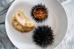 A tengeri sün jellegzetes szicíliai fogás