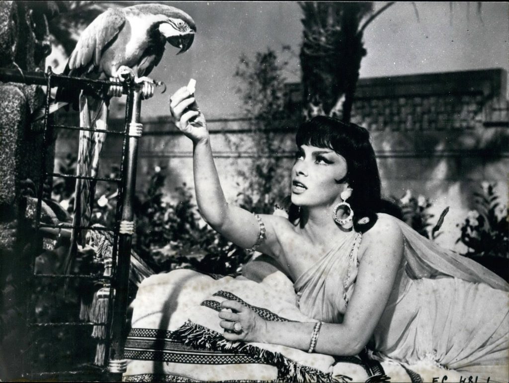 Az 1959-ben bemutatott Salamon és Sába királynője Gina Lollobrigida egyik legismertebb filmje