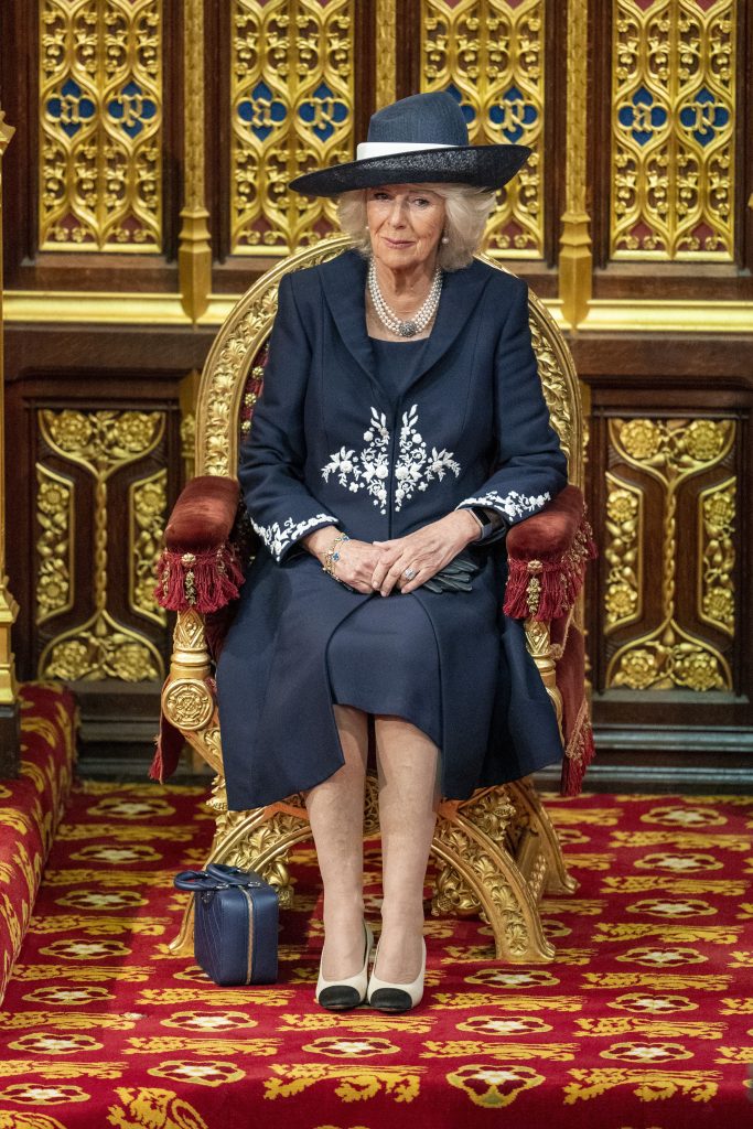 Queen Elizabeth Ii Misses State Opening Of Parliament