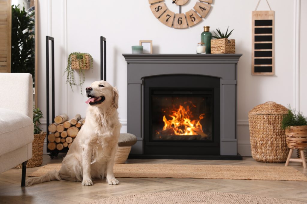 Adorable,golden,retriever,dog,on,floor,near,electric,fireplace,indoors