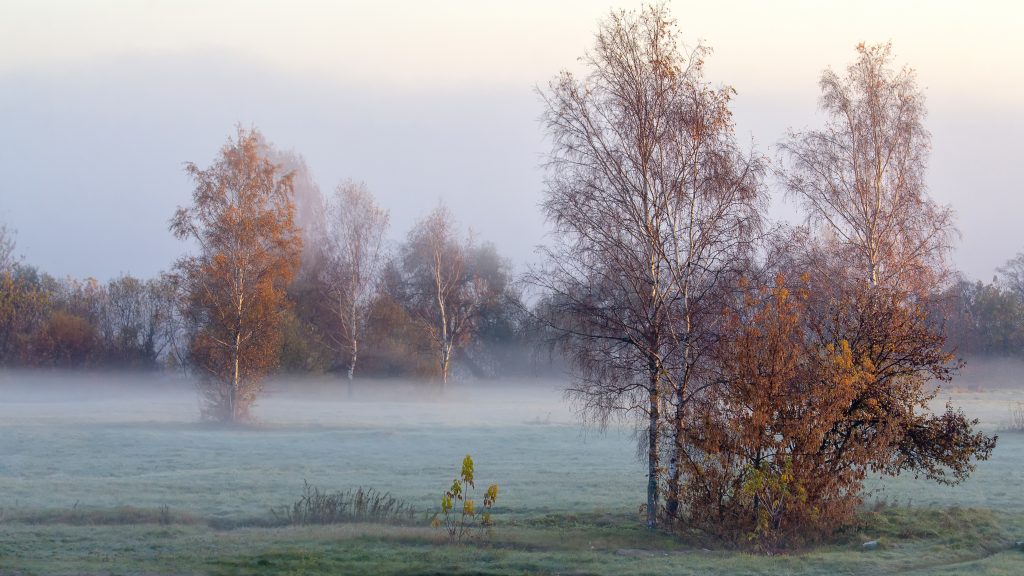 Köddel és hidegfronttal kezd a november