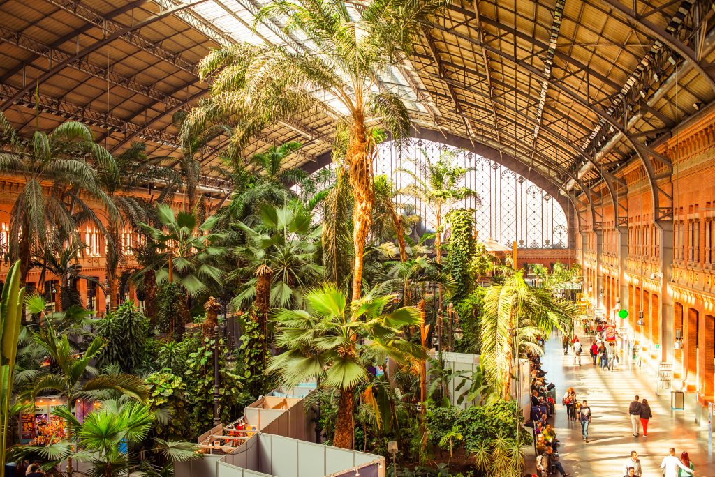 Az Atocha vasútállomás a világon egyedüliként botanikus kert is egyben
