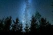 Forest,in,shadows,under,a,starry,sky,at,night,with