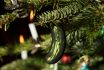 Decorated,christmas,tree,with,hidden,glass,cucumber,decoration,as,lucky