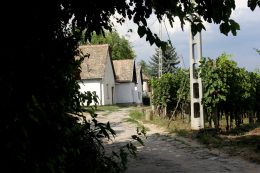 Sioagard,,hungary, ,august,14,,2018:,siogard,village,,home,and
