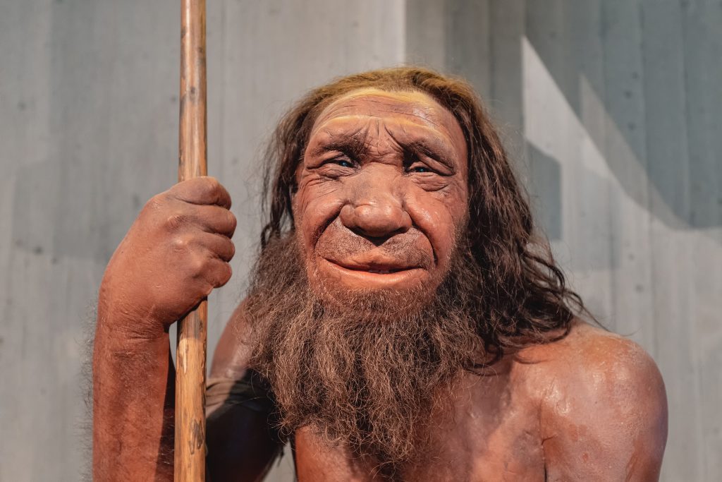 Neandervölgyi