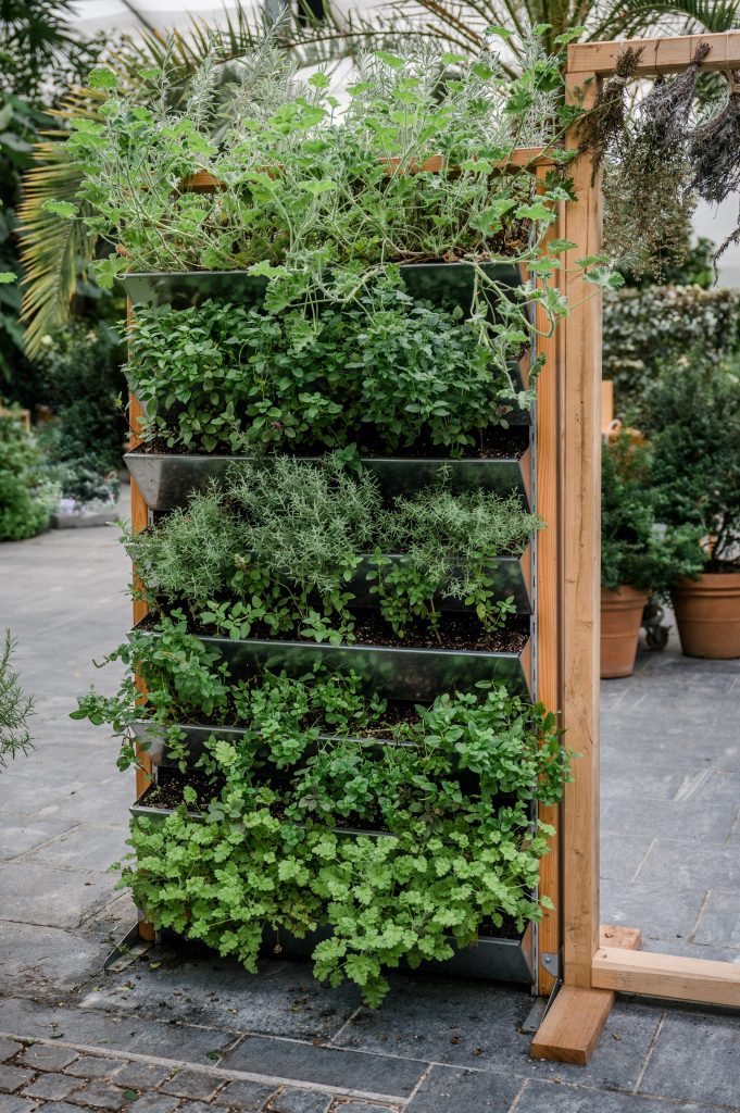 Cipőtartóból ideális növénytartót csinálhatunk! / Kép forrása: Sonja Filitz / Getty Images