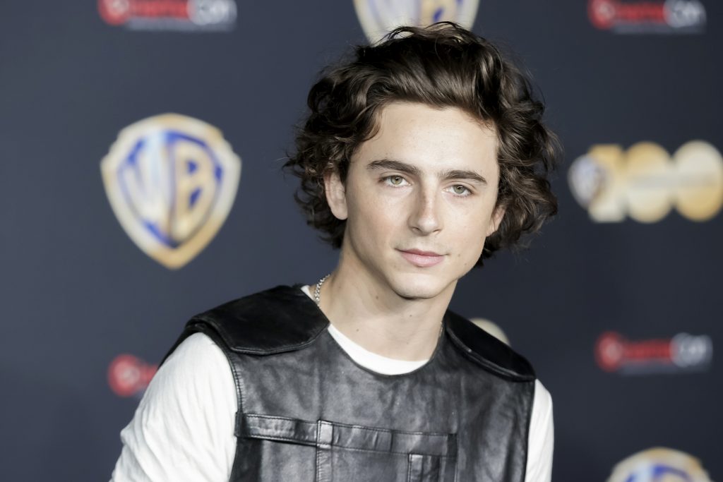 Timothée Chalamet egy pingpongozót fog alakítani / Kép forrása: Greg Doherty / Stringer /WireImage / Getty Images