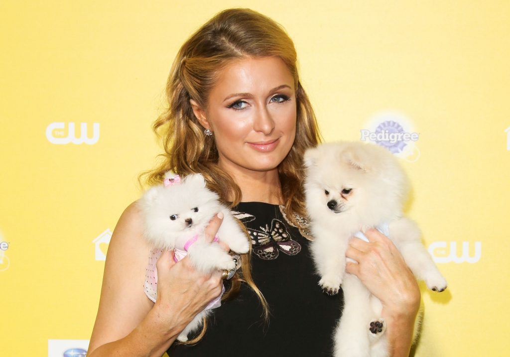 Paris Hilton kétgyermekes anya lett / Kép forrása: Paul Archuleta / Getty Images