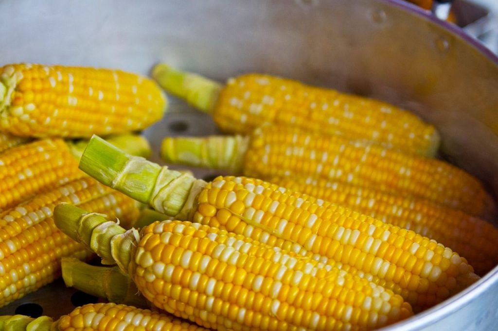 Arany színe miatt a bőség szimbóluma a kukorica / Kép forrása: Pixabay