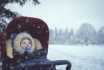 Little Boy In Stroller In Winter Park