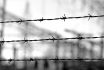 Three Lines Of Barbed Wire To Demarcate The Border