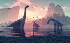 A Jurassic World új része 2025-ben várható / Kép forrása: Orla / Getty Images