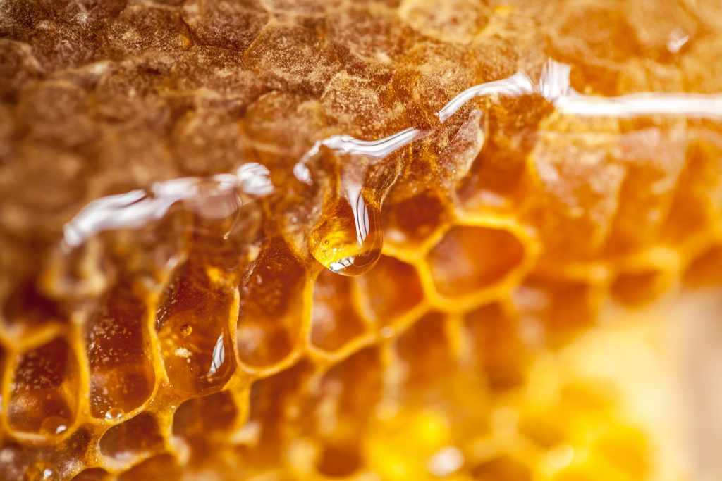 Honeycomb In Close Up