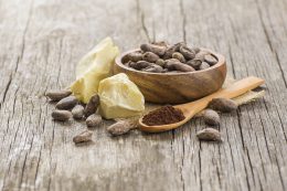 Cocoa Butter Or Cocoa Bean Solid Oil With Cacao Powder In Spoon And Raw Cocoa Beans In Wooden Bowl On Rustic Backdrop, Healthy Natural Oil