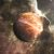 Planet Mars Close Up With Sunrise In Space