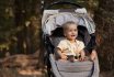 Happy Baby Girl Sitting In Stroller At The Park.