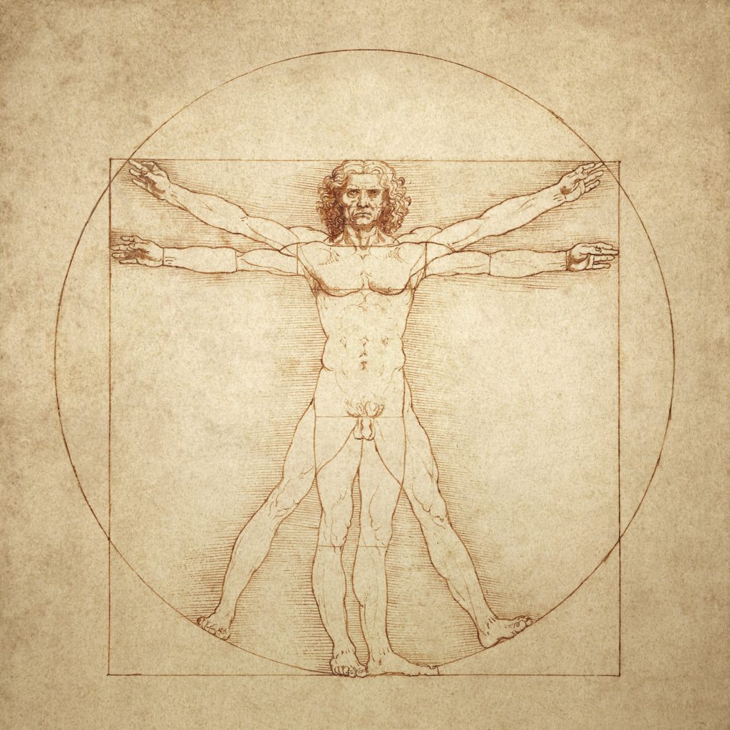 Vitruvian Man By Leonardo Da Vinci