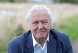 Sir David Attenborough 98 éve lett / Kép forrása: Danny Martindale / Getty Images