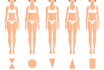 Forms Of Female Body Type. Various Figures Of Women. Vector.