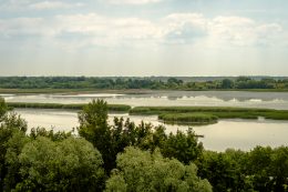 Lake Tisza