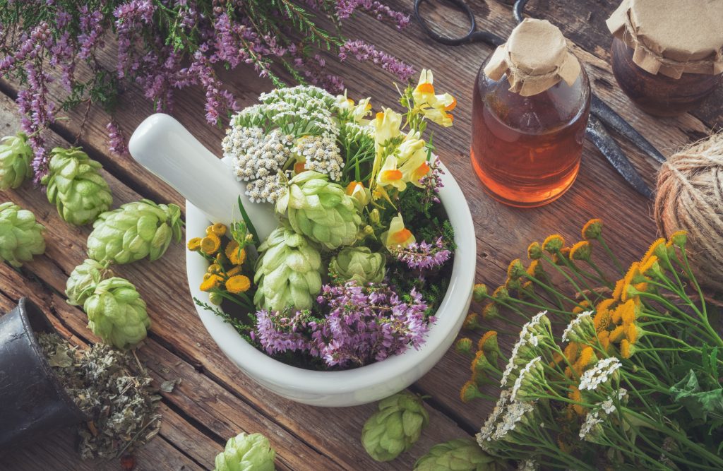 Mortar Of Medicinal Herbs, Healthy Plants, Bottle Of Tincture Or Infusion. Top View. Herbal Medicine.