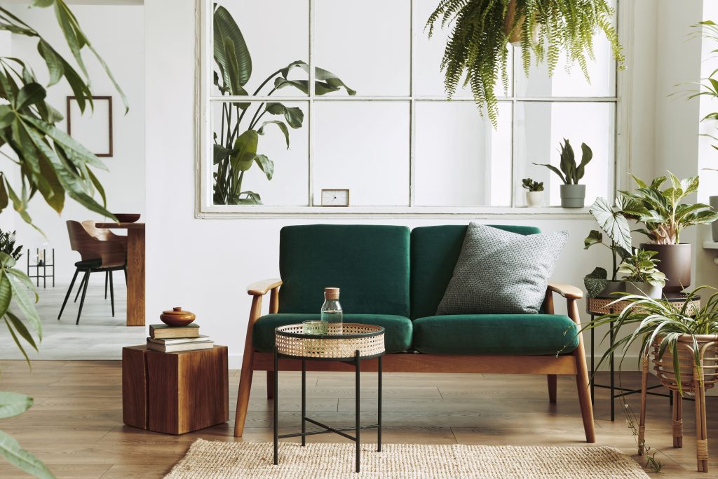 Interior Design Of Scandinavian Open Space With Velvet Sofa, Plants, Furniture, In Stylish Home Staging. Template.