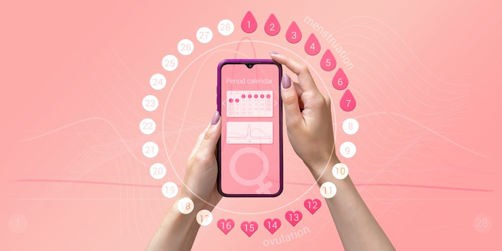 Menstrual Cycle Tracker Mobile App On The Smartphone Screen In The Hands Of A Woman. Modern Technologies For Tracking Women's Health, Pregnancy Planning