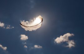 Lone Feather In The Sky